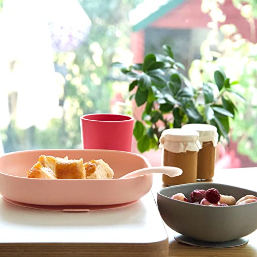 Image of BEABA Silicone 4-Piece Meal Set - Easy to Clean - Dishwasher and Microwave Safe - Soft, Unbreakable, Non-Slip Suction Bottom - Includes Plate, Bowl, Cup and 2nd Stage Silicone Spoon