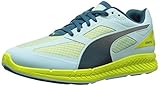 PUMA Women's Ignite Mesh Running Shoe