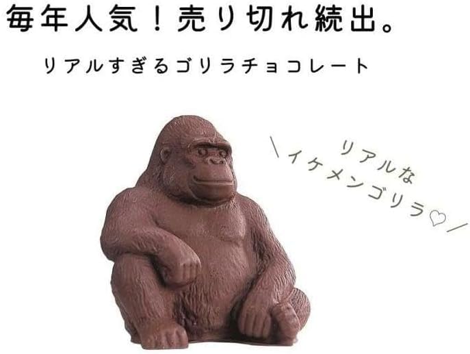 Amazon.co.jp: 2025 Zooology Mountain Gorilla Chocolate with