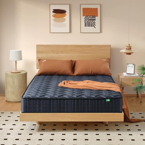 Z-HOM }bgX NC[ Ɍ20cm  }bgX |PbgRC 696xRC o2.0 sz d ̈U ʋC kł͂ 薰ɓi160*195*20cmjubN