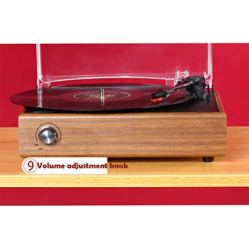 Tourne-Disque en Vinyle avec Stylet, Platine Tourne-Disque pour Tourne-Disque en Vinyle, entraînement par Courroie à 3… - Les Beatles, Paul McCartney, John Lennon, RIngo Starr, George Harrison Tourne-Disque en Vinyle avec Stylet, Platine Tourne-Disque pour Tourne-Disque en Vinyle, entraînement par Courroie à 3… – Image 7