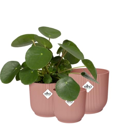 Elho Vibes Fold Rond - Pot De Fleurs pour Intérieur - Plastique 100% Recyclé - Lot de 3 - Ø 14, 16, 18 cm - Rose/Rose Poudré