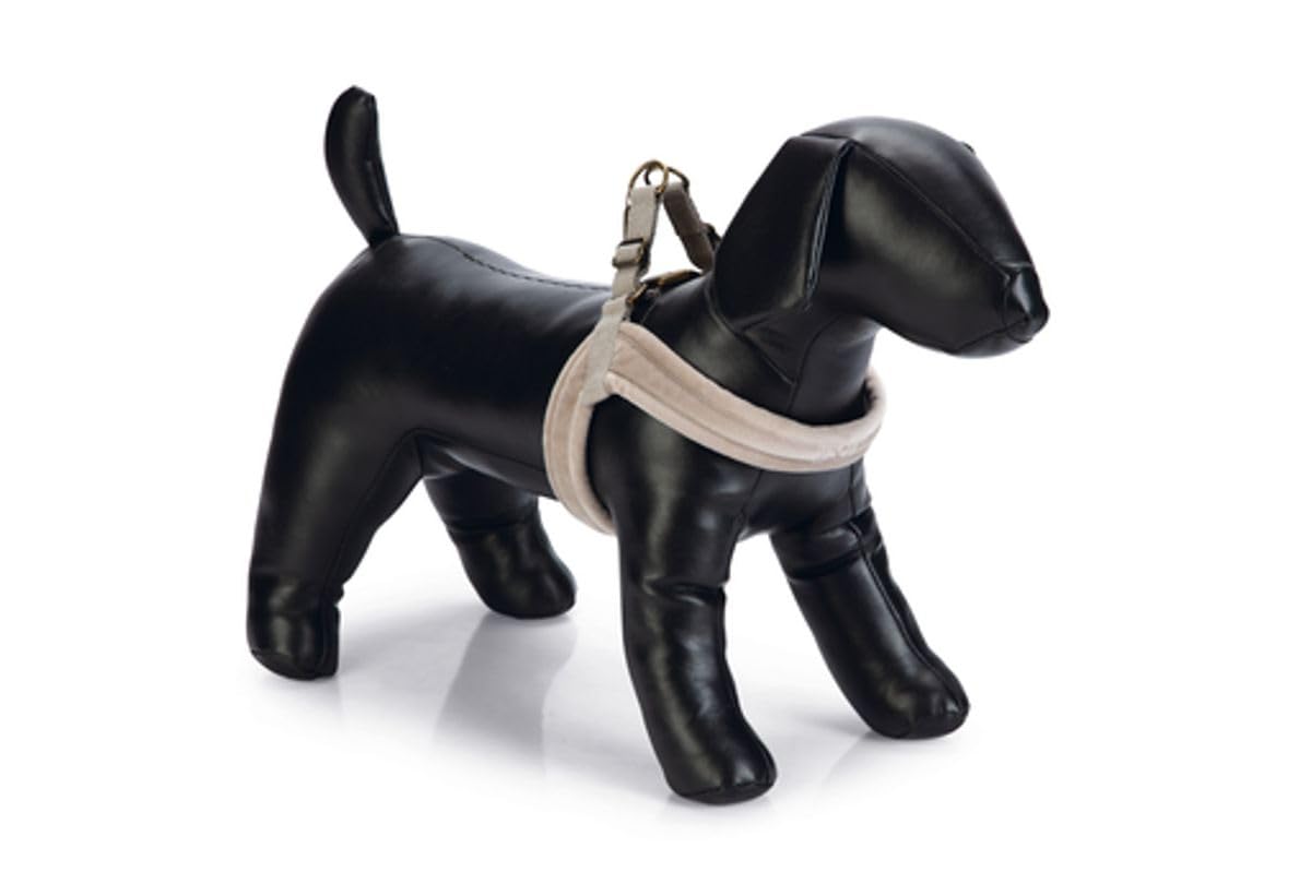 Beeztees DBL Köpek Göğüs Tasması, Velur, Gri, XS, 20mm x 46cm