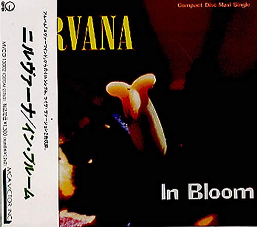 nirvana in bloom
