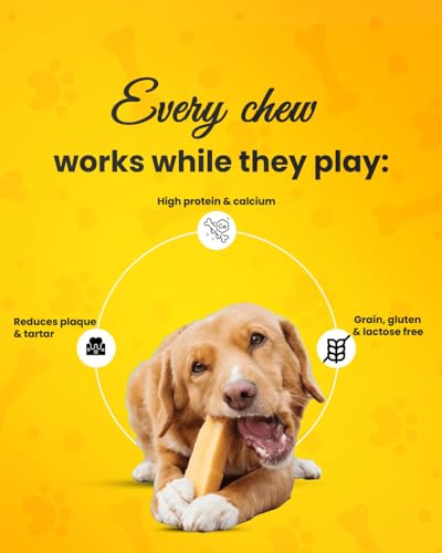 Image of Himalayan Yak Chew Dental Treat for Dog, 4 Small Sticks, 140 gm, Regular