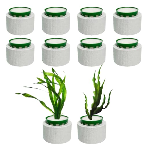 XiyaxiVici 10 Sets Wasserpflanzen Fixed Ring Set Aquarium Ring Kolonisation schwebende Pflanze Aquarium Keramikringe für Fischtank Zubehör