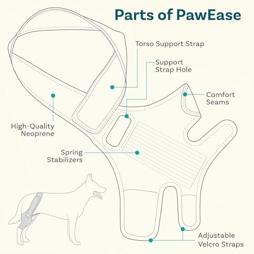 ASIAD Beinschiene für Hunde, Knieschiene für Hunde Bei Kreuzbandriss, Hüftdysplasie, Arthritis, Patellaluxation, Unterstützung Der Vorder- Und Hinterbeine, Bequem Und Verstellbar,Schwarz,L