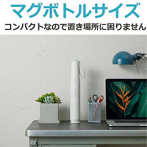 main