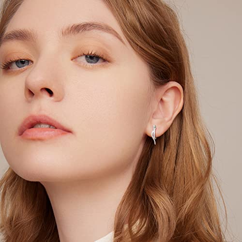 Fashion CZ Snake Hoop Earrings 925 Sterling Silver Sparkling Crystal Green Eyes Small Huggie Hoops Cartilage Earrings Statement Punk Ear Jewelry Gifts for Women Girls Hypoallergenic2