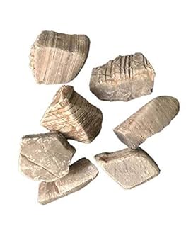 古代ソマチッド【千枚岩】 千枚岩（せんまいがん）】岩石図鑑・アルバム