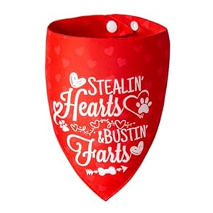 Valentine’s Day Dog Bandanas – Reversible Cute Lettering & Heart Pattern 2-in-1 Valentine Holiday Costume Pet Scarf, 1pack Snap Button Bandana for Small & Medium Breed (5-30lbs)