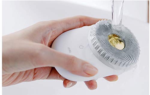 Amazon | (LGエレクトロニクス) LG Electronics Pra.L 超音波 振動