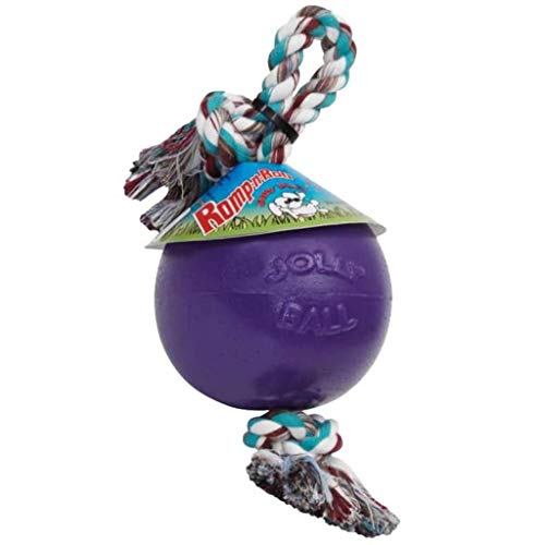 Jolly Pets, Romp-n-Roll, Hundespielzeug mit Seil und Ball, 15 cm/Größe M, violett