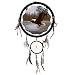 1 X Dream Catcher 13 Inch/ Eagle