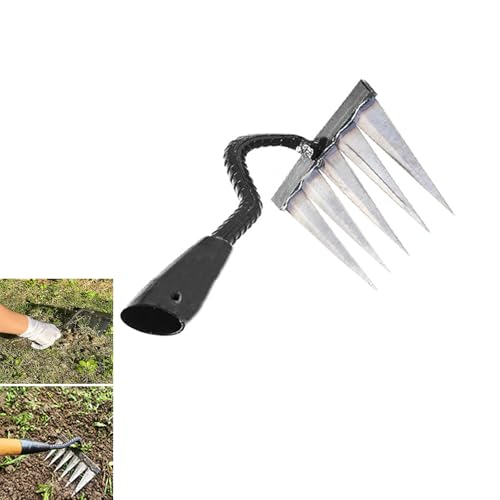 Iron Rake for Weeding, Garden Metal Rake Heavy Duty with 5 Tines, Steel Garden Sharp Weed Tool, Gardening Hand Weeder Tool Weed Puller for Backyard Farm Planting Weeding