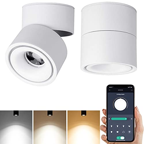 Yodaba Smart LED Dimmable Ceiling Spotlight - 360°Adjustable Indoor Surface Mounted 10W COB Lighting -Stepless Dimming Warm Light 3000K to Cool White 6000K Ceiling Downlight-Wall Swivel Lamp (White)