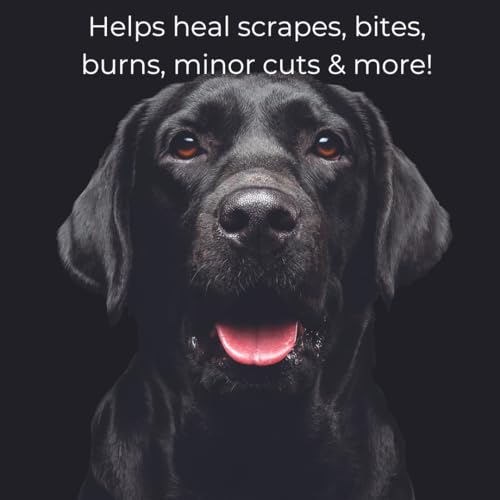 Wound Care Spray | Promotes Healing to Minor Cuts Scrapes Burns and Other Skin Issues | Clear Stainless  Greaseless | 4oz Spray Bottle  Cucciolini Doodles Wound care spray | promotes healing to minor cuts scrapes burns and other skin issues | clear stainless  greaseless | 4oz spray bottle   cucciolini doodles