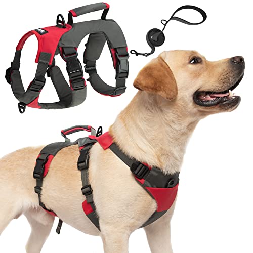 Top 10 No Slip Dog Harness of 2022 Katynel