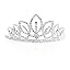 Toni Tiara