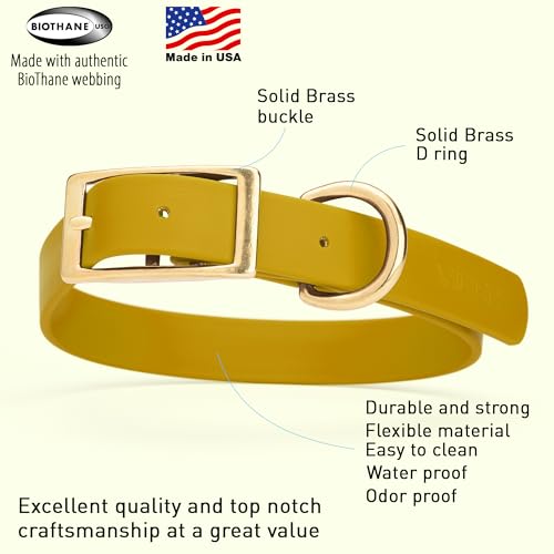 Image of Viper Biothane Heavy Duty Waterproof Dog Collar Strong Coated Nylon Webbing w /Solid Brass Hardware Odor-Proof for Easy Care to Clean High Performance Fits Small Medium or Large Dogs, Treasure Gold