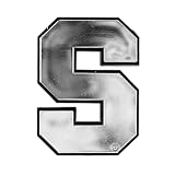 FANMATS 60374 Syracuse Orange Molded Chrome Plastic Emblem