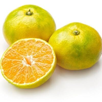 󂠂 ɑʗLc݂ a̎RY ƒp  2.5kg