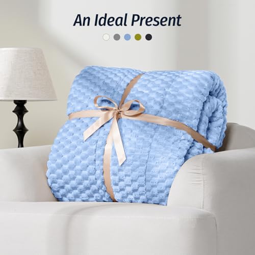 Image of Wemore Fleece Weighted Blanket for Adults (48 inch x 72 inch 15lbs, Blue), Dual Sided Cozy Soft Sherpa Heavy Blanket, 3D Imitation Turtle Shell Warm Jacquard Flannel Weighted Blankets