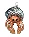 December Diamonds Blown Glass Embellished Hermit Crab Christmas Ornament, Multi, One Size