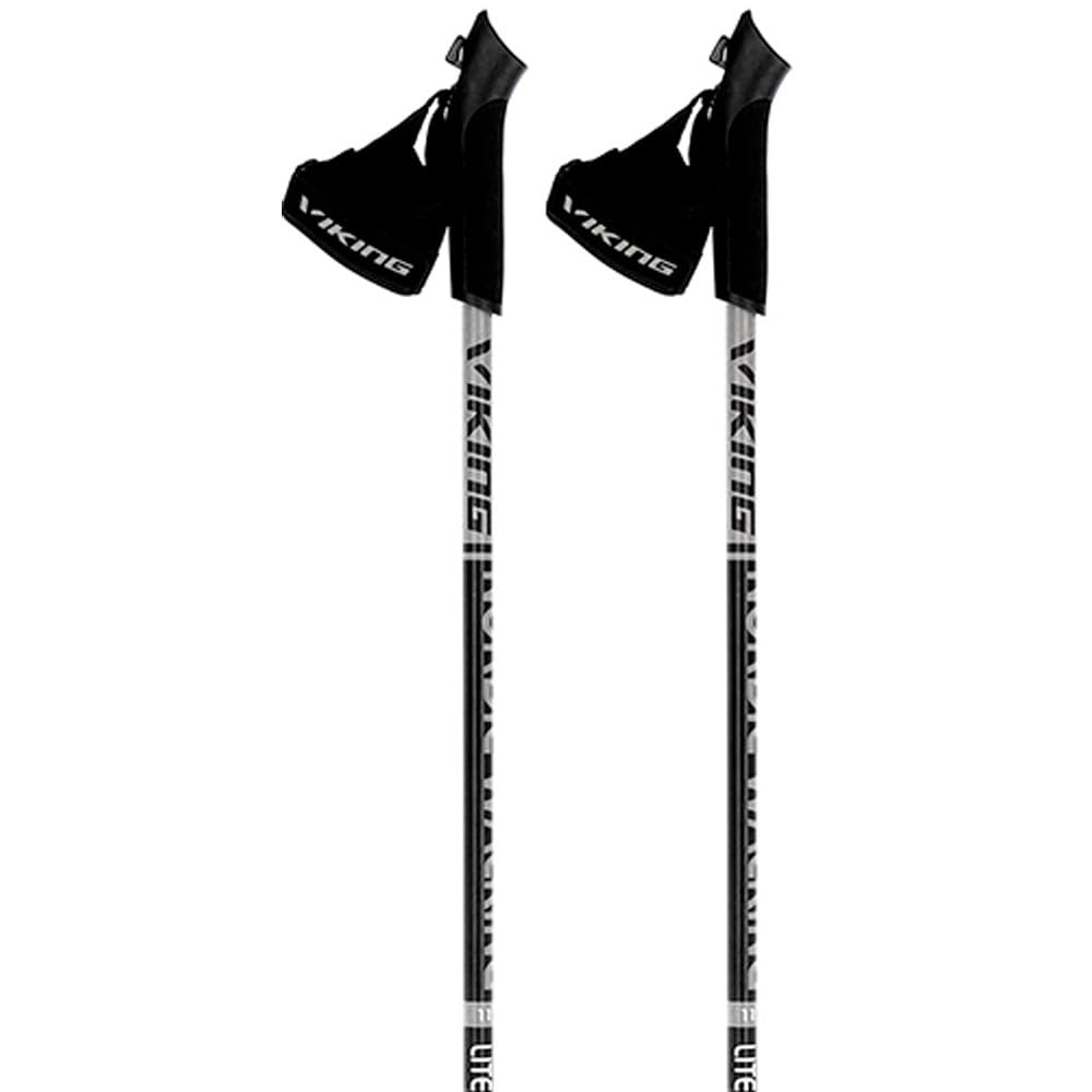 Kije Viking Lite Pro, grau, 110