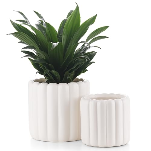 FUYHE Ceramic Plant Pots,6 inch+4.7 Inch Planter Pot with Drainage Holes,Ceramic Planters for Indoor Plants,Modern Flower Pots for Indoor Outdoor Plants House & Office Décor,Cream White