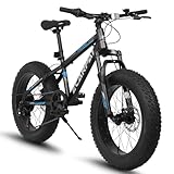 20 Inch Fat Tire Bike Adult/Youth Full Shimano 7 Speed Mountain Bike, Dual Disc Brake, High-Carbon Steel Frame, Front Suspension, Mountain Trail Bike, Urban Commuter City Bicycle,Fat tire bike (Black)