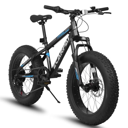 20 Inch Fat Tire Bike Adult/Youth Full Shimano 7 Speed Mountain Bike, Dual Disc Brake, High-Carbon Steel Frame, Front Suspension, Mountain Trail Bike, Urban Commuter City Bicycle,Fat tire bike (Black)