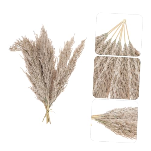Ramo de cañas secas decorativas Luxshiny 15 piezas miniatura 5