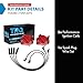 TRQ Ignition Coil Kit 3 Piece Compatible with 1998-2003 Chevrolet S10 1998-2003 GMC Sonoma 1998-2000 Isuzu Hombre