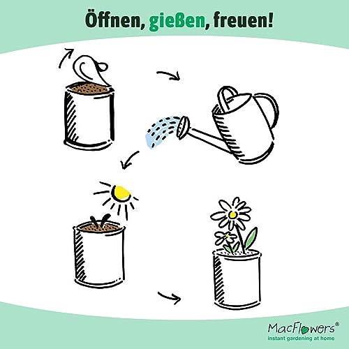 MacFlowers® Frangipani | Anzuchtset als besonderes Geschenk | Öffnen Gießen Freuen | Dankeschön Yoga Tempelbaum Yogabaum yellow