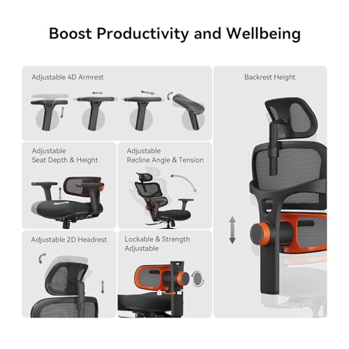 Image of Newtral Ergonomic Office Chair - Home Office Desk Chair, Big and Tall Office Chair, Auto-Following Lumbar Support for Back Pain, Adjustable Seat Depth and Height (No Foot Rest + No Laptop Tray, Black)