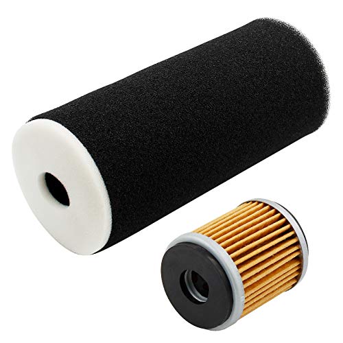 Road Passion Filtro de aire, con kit de filtro de aceite Reemplaza para Yamaha Raptor 350 YFM350RSE2 Special Edition II 2007 ,Warrior 350 YFM350X 1987-2004 Cover
