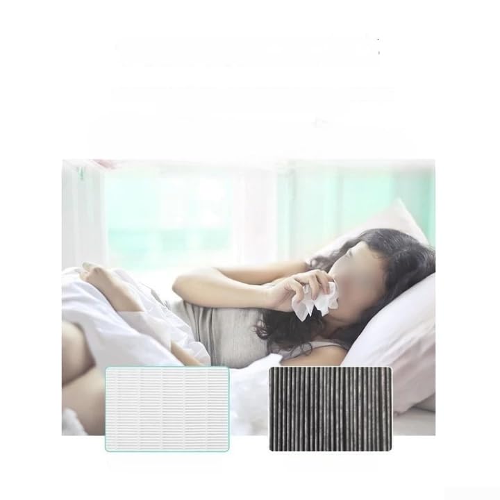 Filtro HEPA H13 per Purificatore per polvere Sottile Filtro HEPA(HYSURE-MAGE MAX)