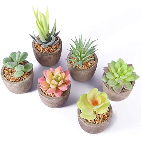 guansheng Plantas Artificiales,Plantas Suculentas Artificiales 6pcs Cover