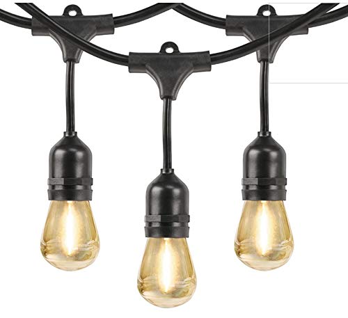 Feit Electric 710090 48Ft Led String Light #TOP1