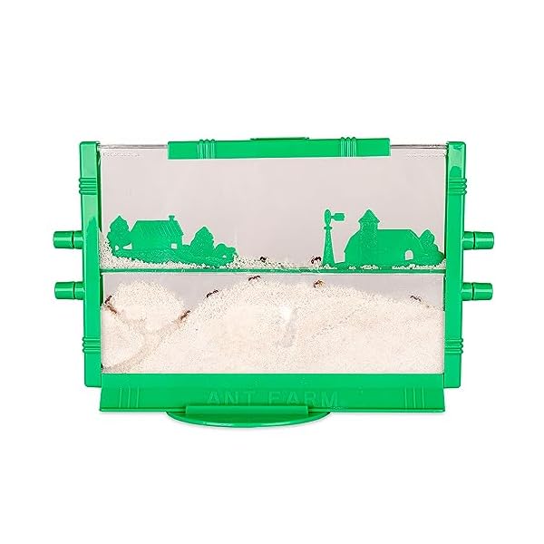 Uncle Milton Ant Farm Insect Gourmet Your guide to edible insects