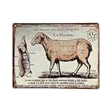 plaque boucherie vintage Matériau(x) : Métal Plaque boucheries coupe de mouton en fer multicolore 33x25cm