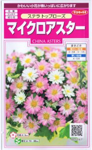 マイクロアスター・ステラ　トップローズ