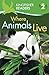 Kingfisher Readers L2: Where Animals Live