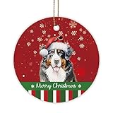 GABSHAIM Mountain Dog Merry Christmas Ornament Snowflake Green Red Stripe Ceramic Ornament Christmas Tree Xmas Home Decor for Dog Lover 2.83 Inch Style 2
