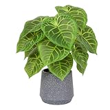 LUWENER Künstliche getopfte grüne Blatt Pflanze im Topf,13.3 in/35 cm hoch gefälschte Blatt Grünpflanze für Büro Badezimmer Home Desk Dekoration (Kerzenblatt)