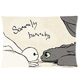 Baymax Toothless Custom Pillow Cases Cushion Cover Pillowcase Decorative Throw Pillow Covers 20X30 (Two Sides)