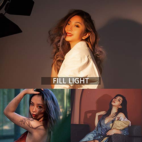 Professional Fresnel tungsteno Video illuminazione...