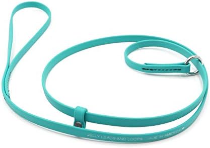 Jelly Pet Grooming Lead for Dogs | Great for Kennels, Veterinarians and Dog Grooming Salons | Biothane Leash - Easy to Clean, Waterproof & Durable Noose Loop | Made in USA | 3/8'' x 4'