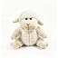 White Sheep Sitting Position